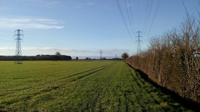 Photo 6x4 Field and hedgerow beside drain off Back Lane Scampston  c2017
