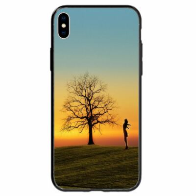 For Samsung Galaxy Note Series Phone Back Case - Sunset Silhouette on Field BC06