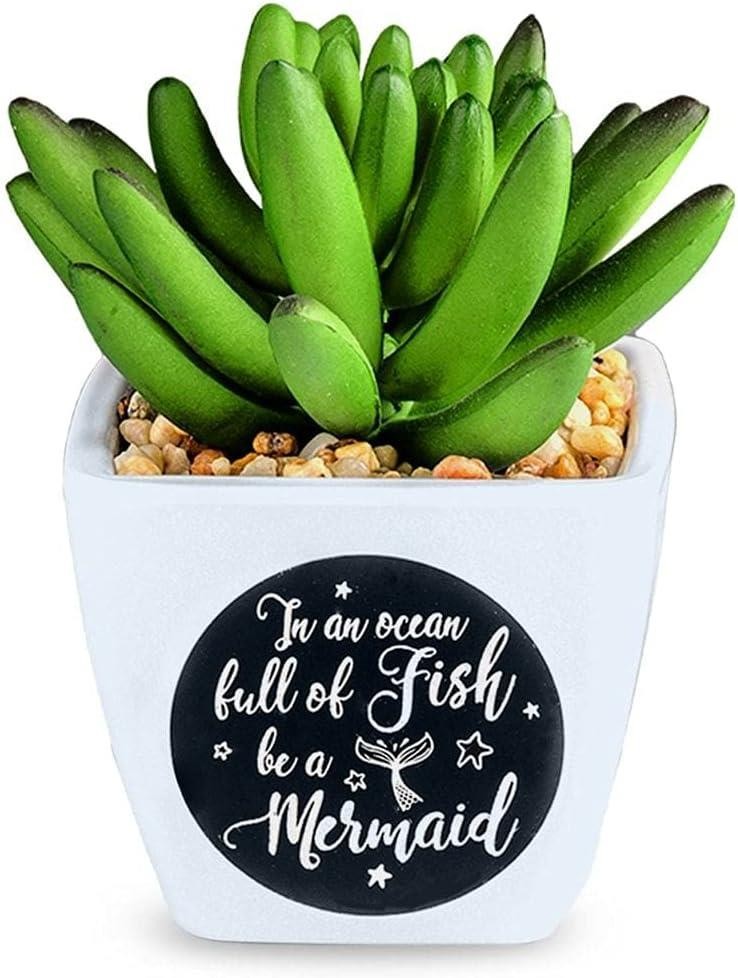History & Heraldry Sentiment Succulent Artificial Plant Pot