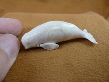 Whal-w140 little Beluga Whale of shed ANTLER figurine Bali detailed love whales