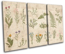 Botanical Vintage Flowers Fern Floral TREBLE CANVAS WALL ART Picture Print