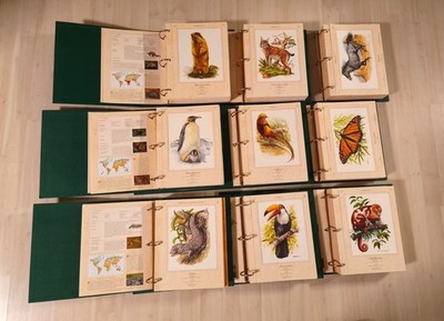Illustrierte Edition Tierwelt, Faszinierende Tierportraits aus aller Welt 4 Bde.