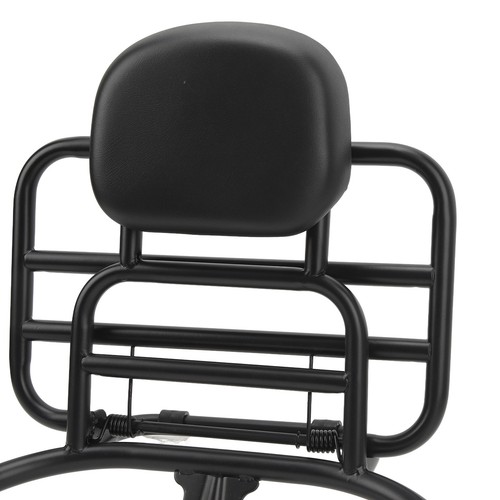 Rear Luggage Carrier Rack With Backrest Cushion Fit For Sprint Primavera 150 NEW - Picture 6 of 12