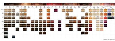 ポイポイ君  IGORA  カラーリング剤 90本セット SCHWARZKOPF Professional IGORA ROYAL Permanent Color Creme 60ml