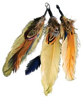Feather Picks 3.5 3/pkg-olive, Jasper & Burnt Orange Md38-712 on sale Feather Picks 3.5 3/pkg-olive, Jasper & Burnt Orange Md38-712 on sale