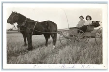 c1910's Man And Woman Riding Horse Carriage North Dakota ND RPPC Photo Postcard