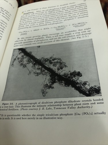 The Nature and Properties of Soils by Lion, Buckman, Brady 6th Edition - Picture 14 of 19