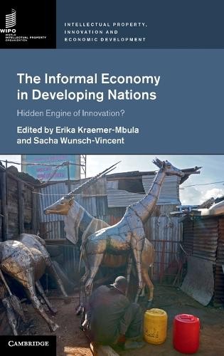 The Informal Economy in Developing Nations by Erika Kraemer-M... - 9781107157545