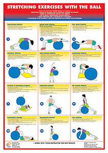 Swiss Ball Exercise Chart