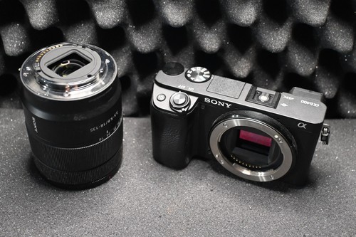 Sony ILCE 6400 / Sony E 18-135mm F/3.5-5.6 OSS 55