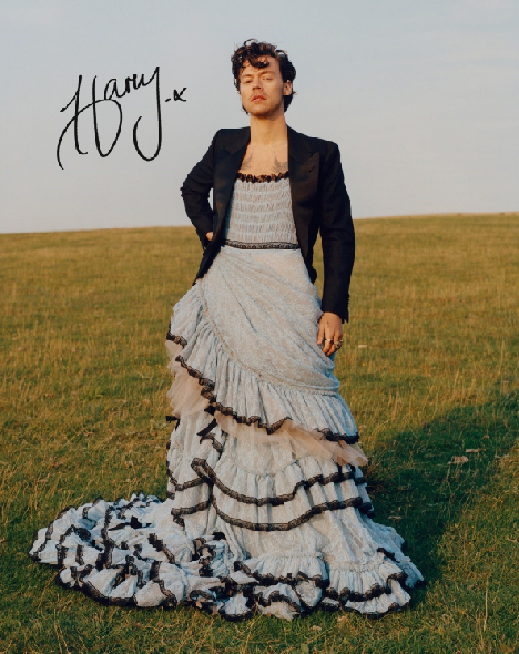 HARRY STYLES SIGNED AUTOGRAPHED REPRINT 8X10 11X17 13X19 POSTER VOGUE DRESS