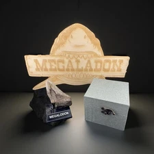 5.2 INCH REAL MEGALODON SHARK TOOTH REAL - WITH STAND AND CASE 📦MEG