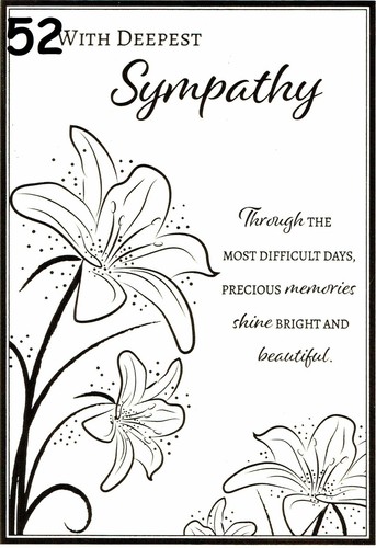SYMPATHY CARD ~ CONDOLENCE ~ BEREAVEMENT ~ QUALITY ~ CHOICE OF TITLE AND DESIGN - Picture 113 of 120