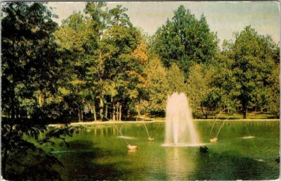 Petrodvorets Russia Fountain of Sandy Pool Vintage Chrome Postcard Unposted A86