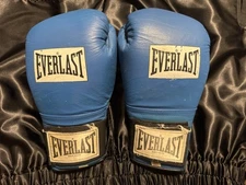 Mid 2000s Vintage Everlast 18oz Training Gloves