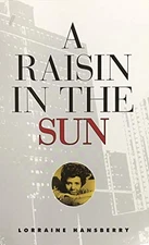 A RAISIN IN THE SUN By David W Moore & Deborah J Short *Excellent Condition*