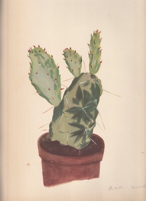 BOTANICAL PRINT , 1939 , ROCK PLANT , OPUNTIA MONACANTHA MARGINATA