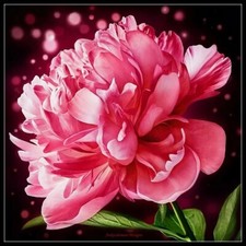 Counted Cross Stitch Kits Needlework Crafts Embroidery - Blooming Peony