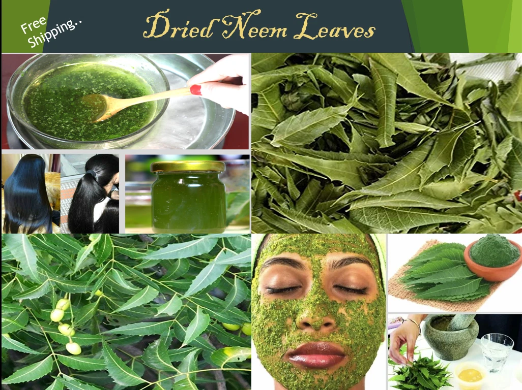 Details more than 154 neem leaves for hair growth latest POPPY