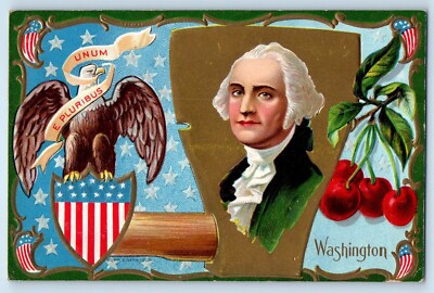 George Washington Hatchet Eagle Cherry Winsch Back Newark Valley NY Postcard