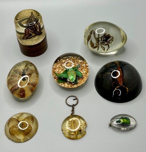⭕️ VINTAGE INSECT & SCORPION COLLECTION IN CLEAR ACRYLIC – 8 PCS