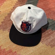 Charlotte Bobcats New Hat Vintage Patch Two Tone Snapback Hat AS Colour