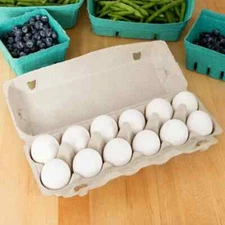 25 empty pack Products Blank Natural Pulp Egg Cartons Holds 12 Eggs-recycled