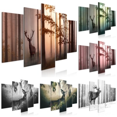 TIERE HIRSCHE Leinwandbild TNT Drucke Wandbilder Bilder c-C-0236-b-n