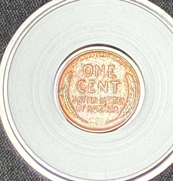 1950 d Lincoln Wheat 1 c One Cent RD THE EXACT COIN SEEN IN THE PICTURE - Image 4 of 4