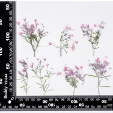 12PCS side Pressed Tiny flower, dyed color pink with leaves stem FSS103 #3