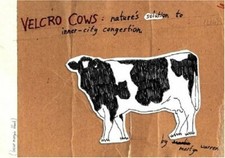 Velcro Cows by Martyn Warren Hardback Book The Cheap Fast Free Post