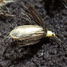 FLY FISHING FLIES COLORADO CADDIS PUPA # 12 NYMPH CUSTOM TIED