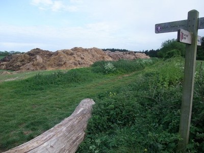 Photo A3 Bedding straw waste on Cocking Down Bepton This extensive pile  c2011