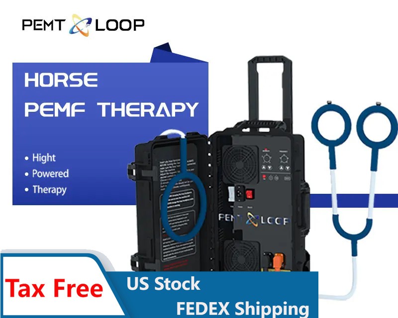 Equine PEMF Machine PMST LOOP Magnetic Physiotherapy for Horse Relax Massager