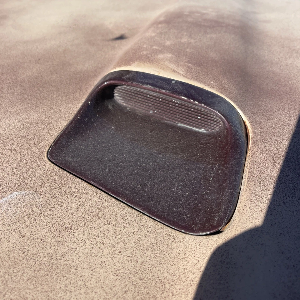 1969, 69 GTO Judge��hood con insertos ¡Bonito! Foto 4 de 4