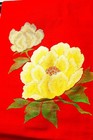 Foto 10 di 10