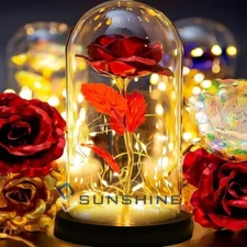 Gold Plated 24k Dipped Rose Flower In Glass Dome Romantic Gift Love For Mom Girl