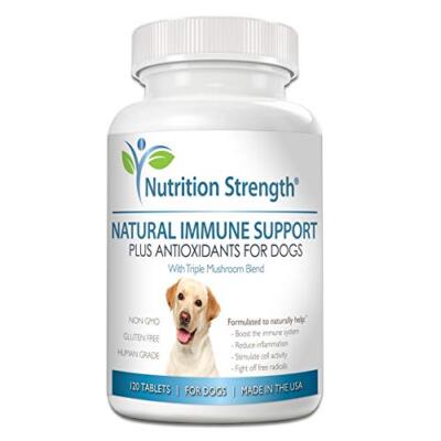 Nutrition Strength - Natural Immune Support for Dogs Plus Antioxidant - 120 ct