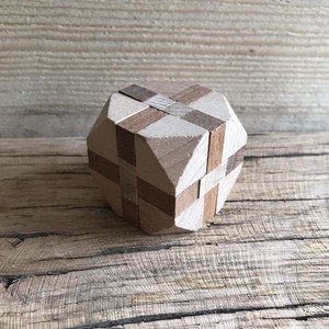 true genius wooden puzzles