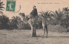 Scène et type  97764