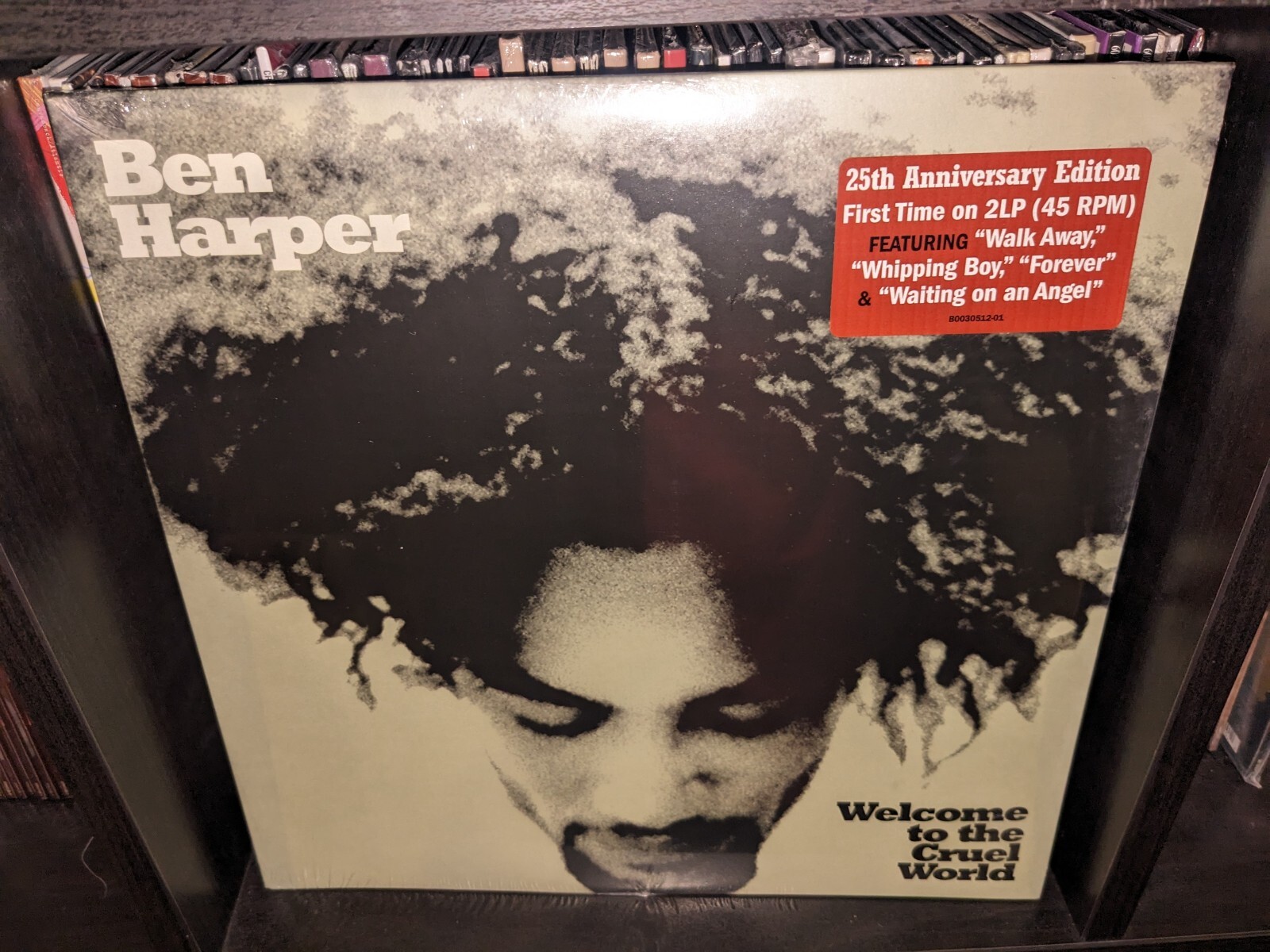 Бен Харпер - ДОБРО ПОЖАЛОВАТЬ В ЖЕСТОКИЙ МИР - 2 виниловых ПЛАСТИНКИ - НОВЫЕ И ЗАПЕЧАТАННЫЕ!!