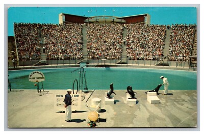 Rancho Palos Verdes CA Marineland of the Pacific Chrome Postcard