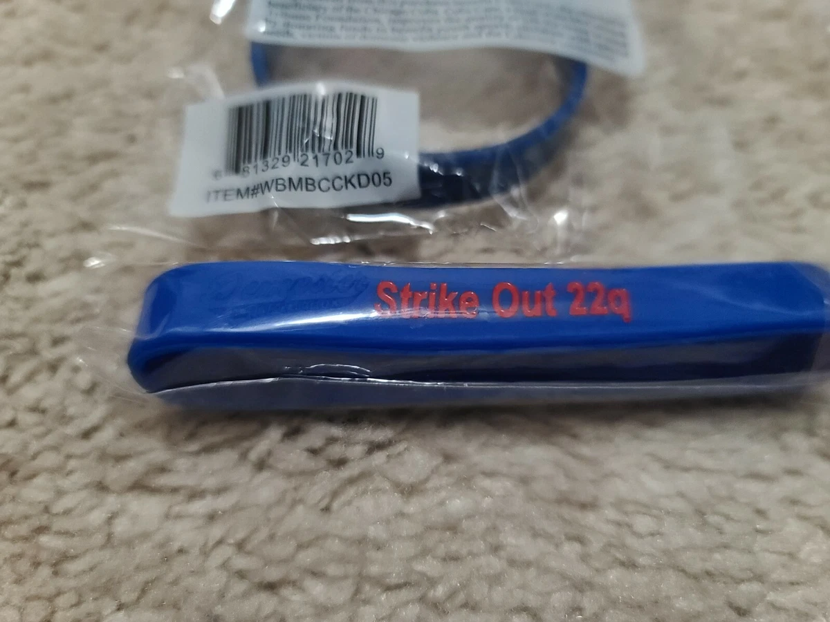 CHICAGO CUBS BELIEVE BRACELET RYAN DEMPSTER FOUNDATION CUBS CARE CHARITY PROMO