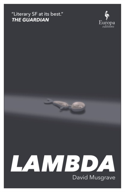 Lambda by David Musgrave NEW Free UK Delivery - Image 3