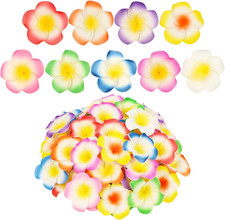 Artificial Plumeria Flowers Bulk 9 Colors Small Fake Flower Heads Foam Frangipan