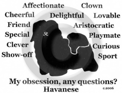 Havanese Dog or Havana Silk Dog Obsession, Questions? T-shirt Choices