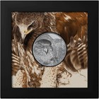 2023 Mongolia Mongolian Falcon 2 oz Black Proof Silver Coin — photo 3