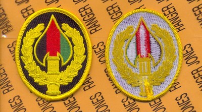 USA Element SPECIAL OPERATIONS JOINT TASK FORCE AFGHANISTAN ~3.25'' patch m/e