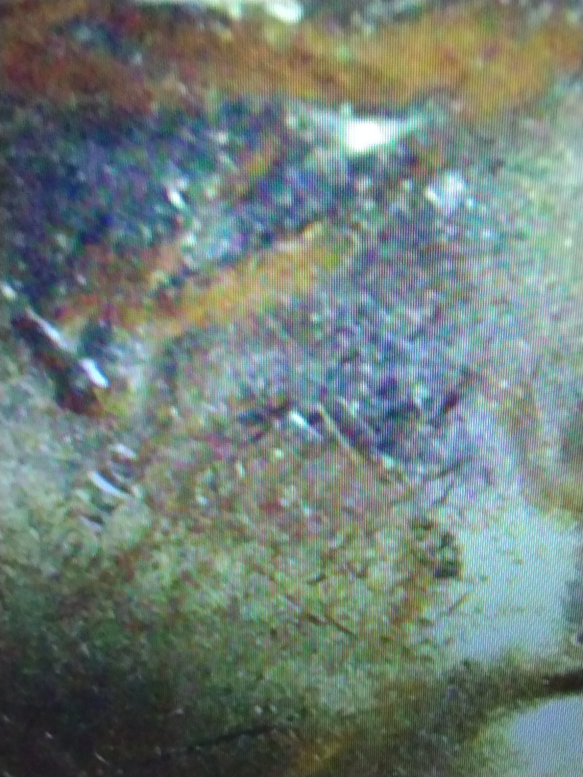 Picture 8 of 9