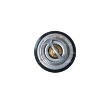 Thermostat Jaguar XK8